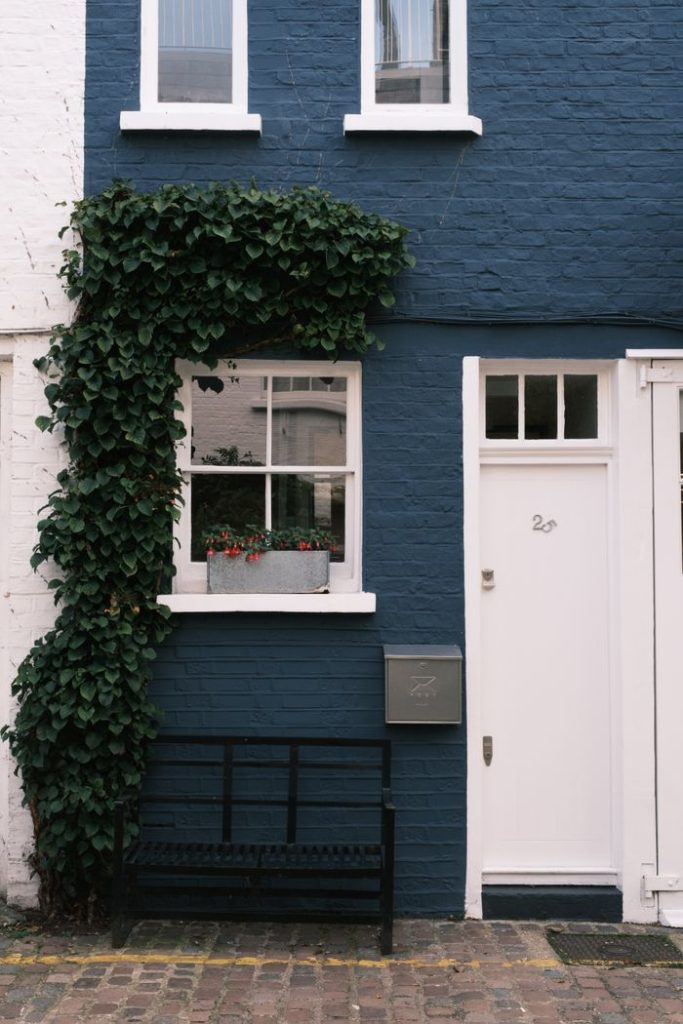 Navy blue townhouse facade with ivy and white door, featuring a sash window.