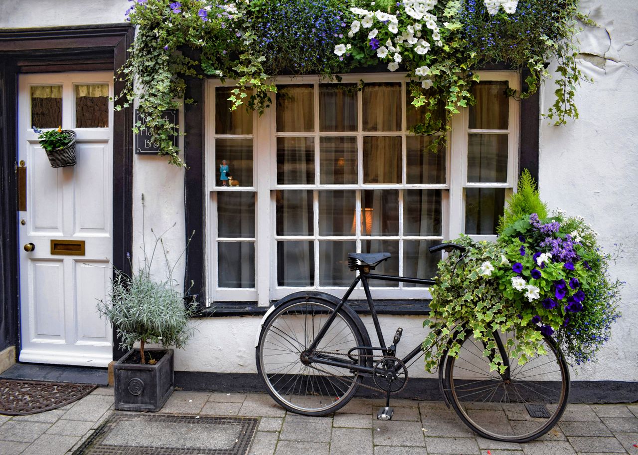 A vintage bicycle adorned with beautiful flowers parked outside a quaint guesthouse window.
